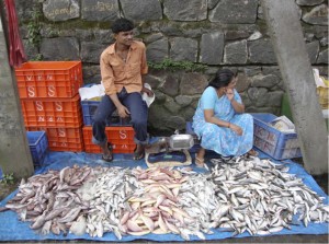 fish in india