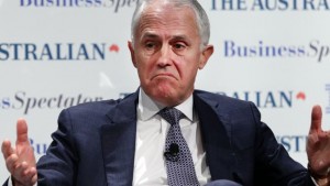 turnbull