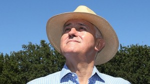 hat-3